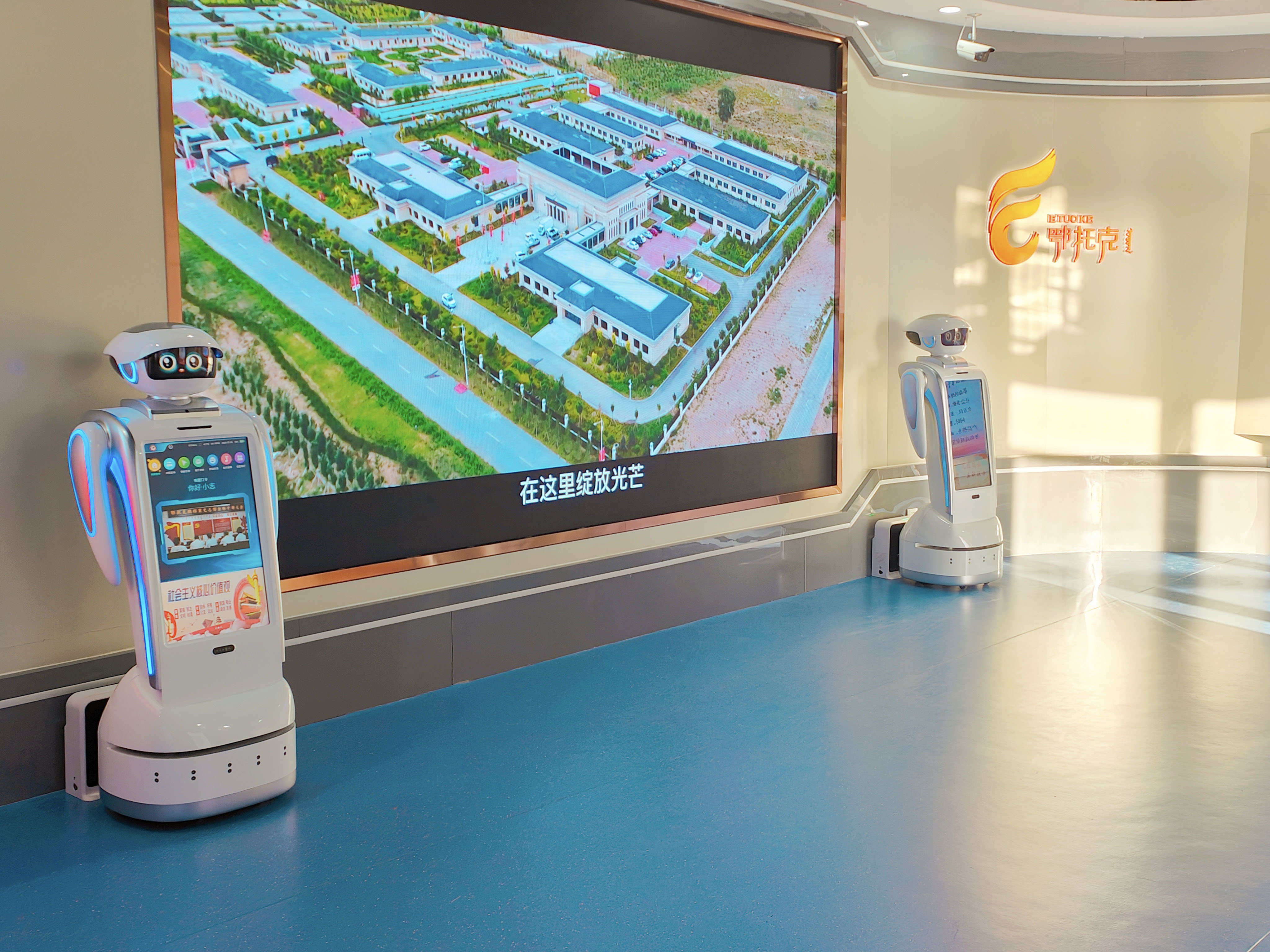 1680485860249086.jpg 3.jpg